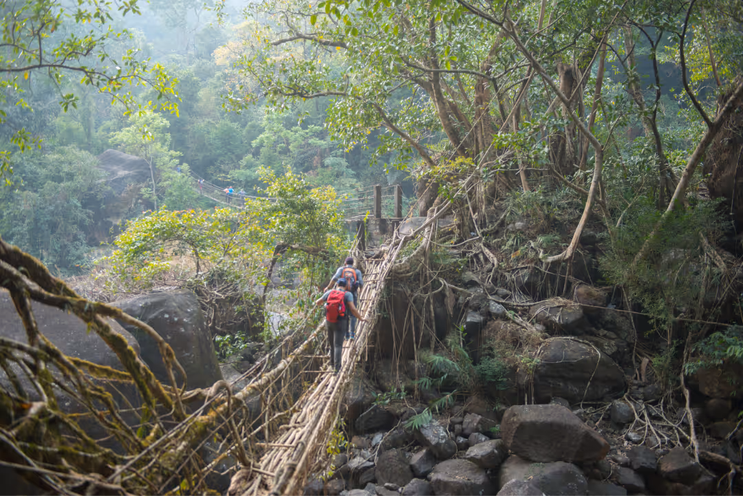 Meghalaya landscape