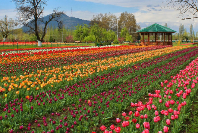 Vale of Kashmir