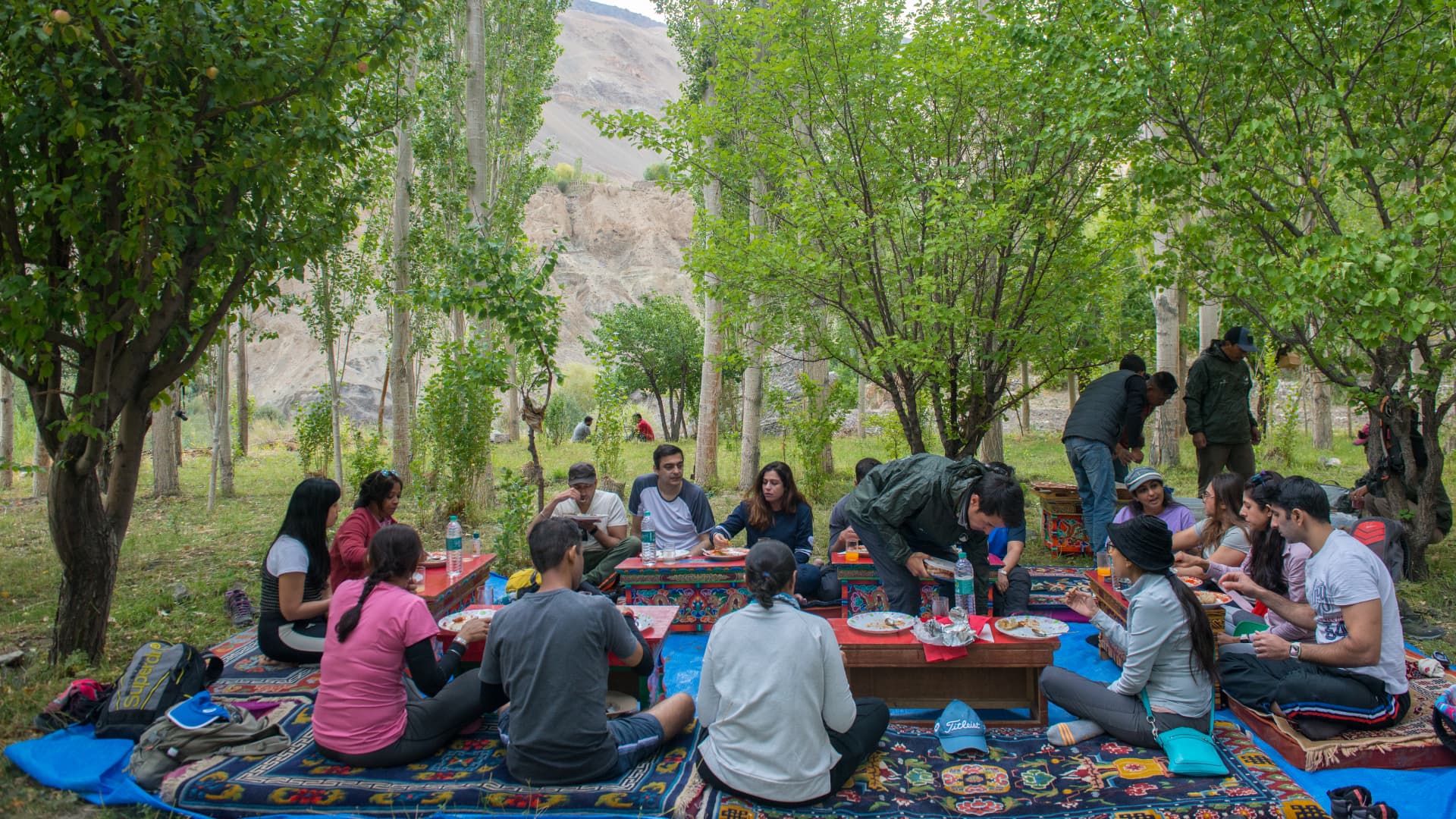 Juniper travellers sharing a meal in a shaded orchard grove below mountain cliffs