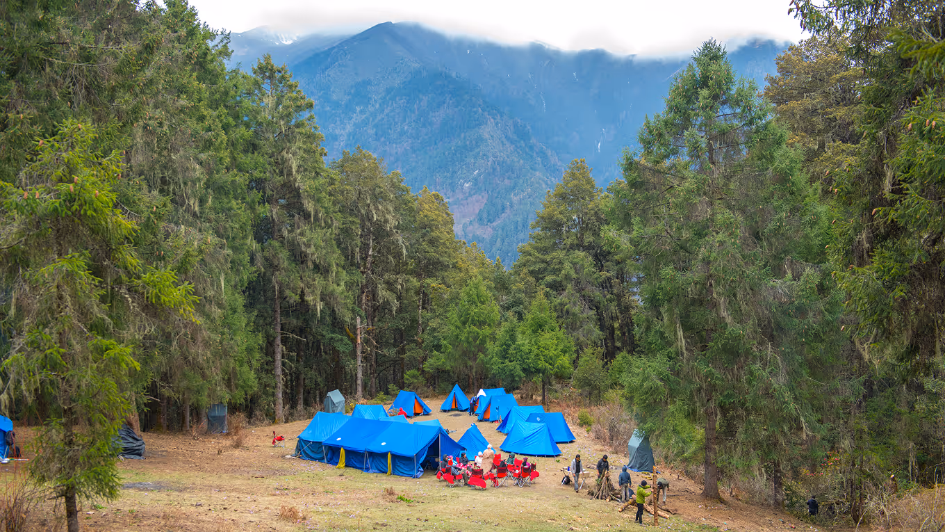 Treks and Expeditions