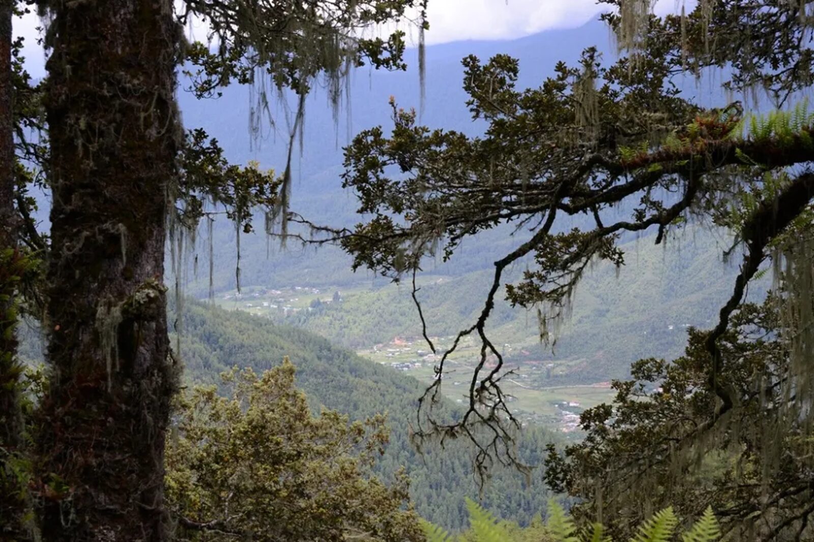 Valley camp in Himachal Pradesh
