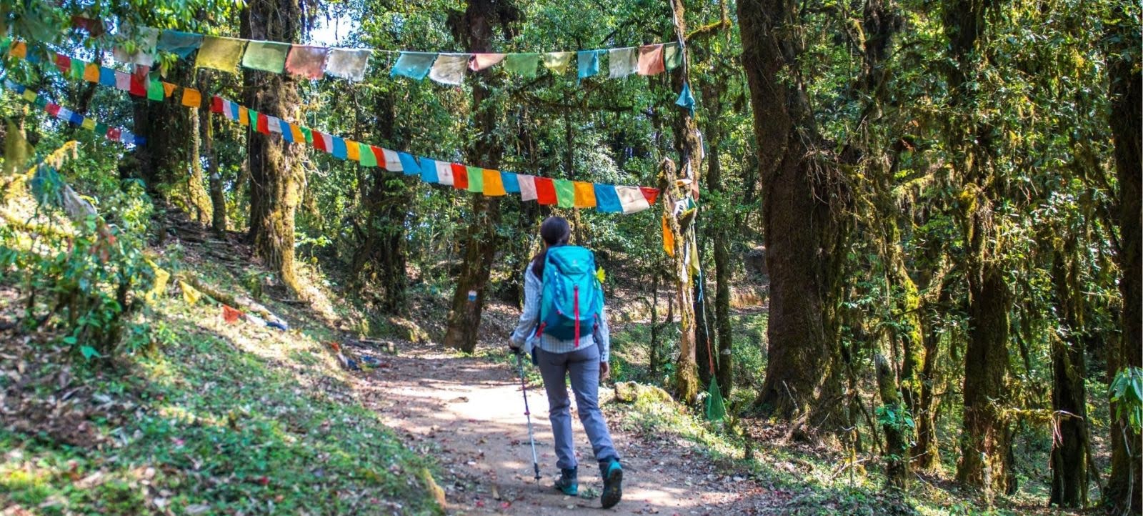 Hiking vs Trekking – What's the Difference Between a Hike and a Trek?